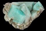 Amazonite Crystal Cluster - Colorado #129658-1